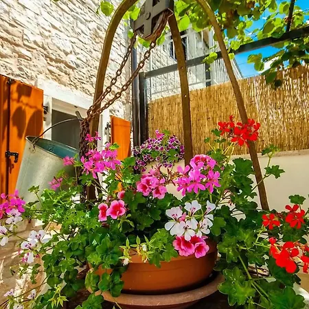 Holiday home Ivka *